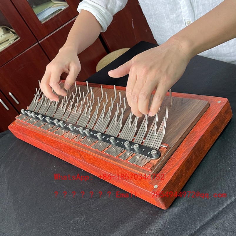 2026 Piano Jempol Profesional  - Mountain Biking For Beginners ulasan dan harga